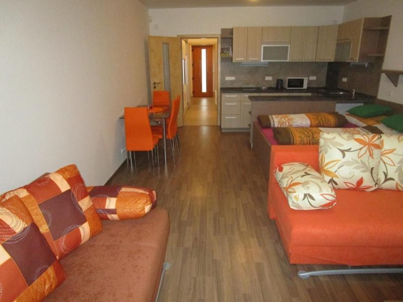 Apartman Ricky V Orlickych Horach Wüstenei 외부 사진