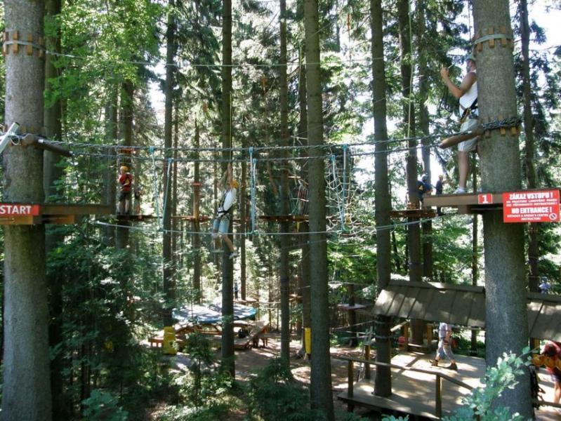 Apartman Ricky V Orlickych Horach Wüstenei 외부 사진