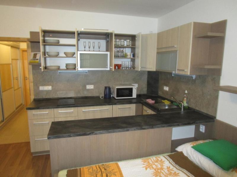 Apartman Ricky V Orlickych Horach Wüstenei 외부 사진