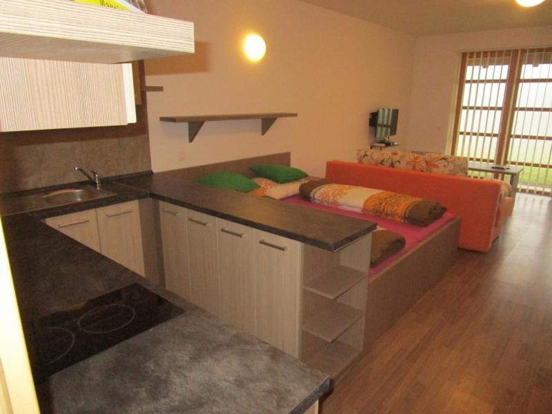 Apartman Ricky V Orlickych Horach Wüstenei 외부 사진